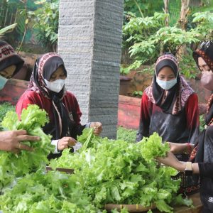 IMG-20210821-WA0001