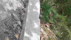 IMG-20221008-WA0027