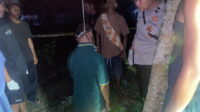 IMG-20240125-WA0054-picsay
