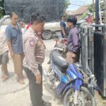 IMG-20241229-WA0002