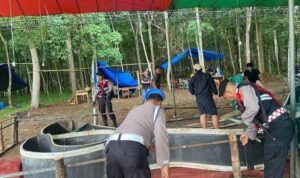 IMG-20250319-WA0003