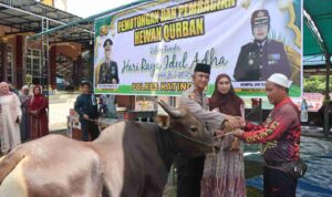 IMG-20250606-WA0026