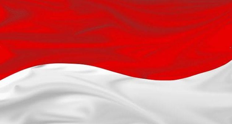 7e7a299723ca9d00519140e46992b0f9ea6040e85a5cf7dc51844f74c64f6e91.0