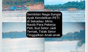 PETI