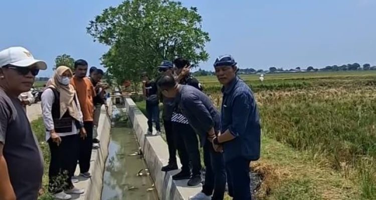 Paper Turnips medianasional.id – Laman 2729 – Beritanya Masyarakat Nusantara
