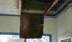 IMG-20261013-WA0006